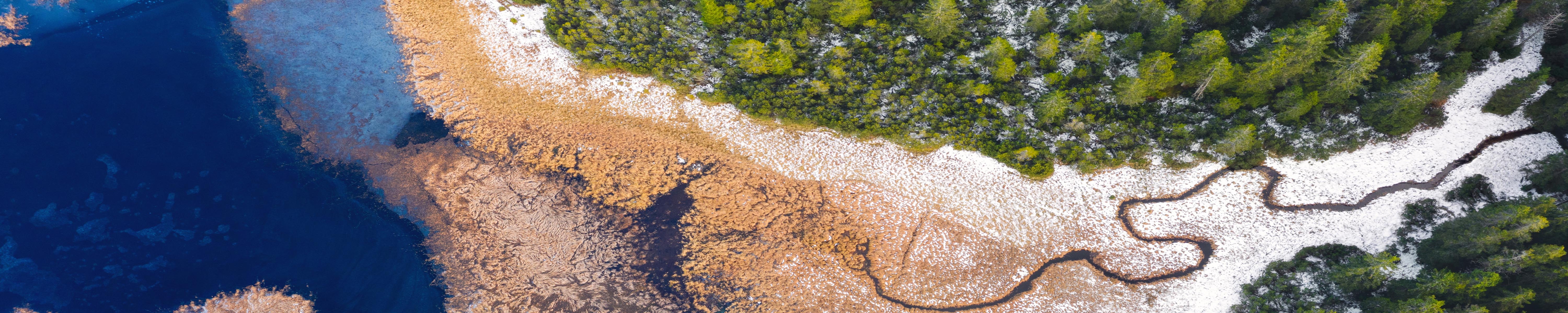 Central Eastern Europe