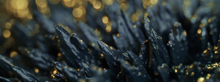 Macro view of minerals