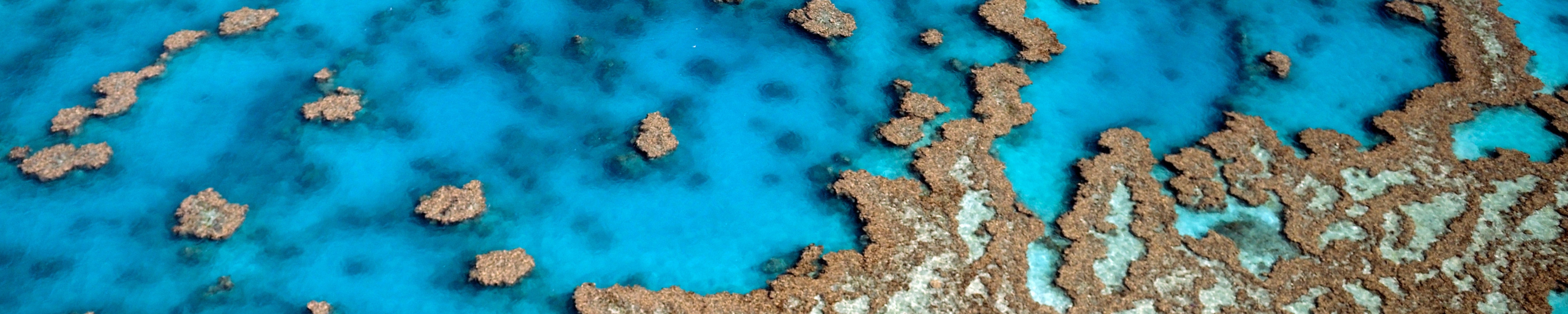 Sustainability & Responsible Business